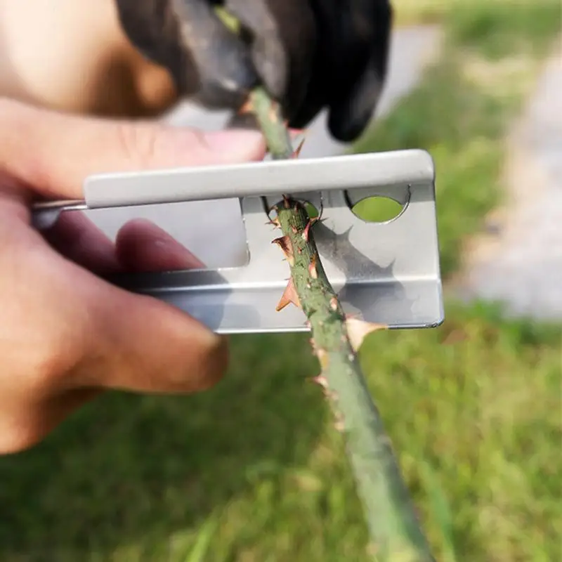 Rose Thorn Removal Pliers Garden Flower Thorn Remover Thorn Removal Tool Flower Pruning Pliers For Flower Store Garden