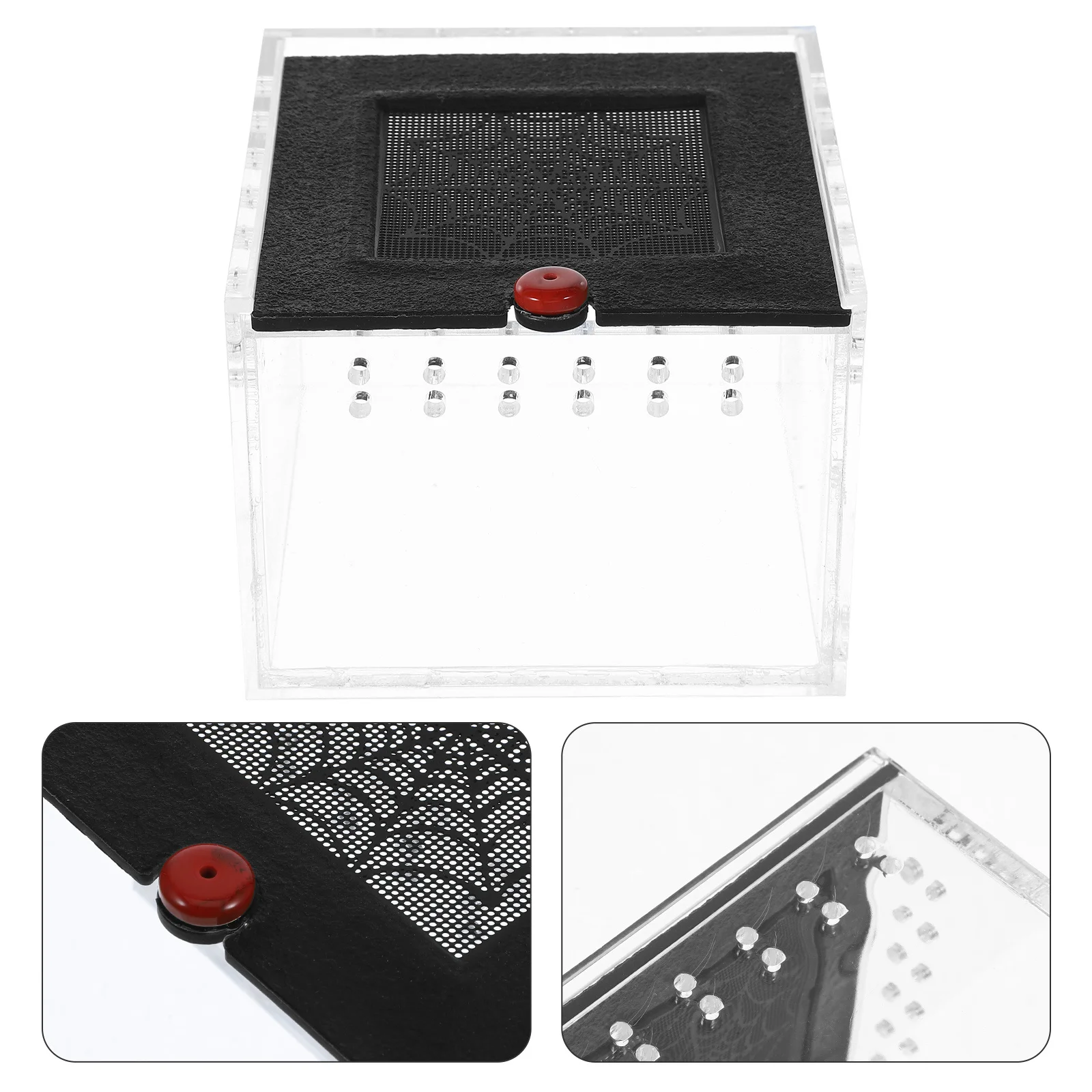 

1pc Reptile Pet Box Acrylic Breeding Tank For Spiders Small Animals Feeding Case Insect Rearing Container Durable