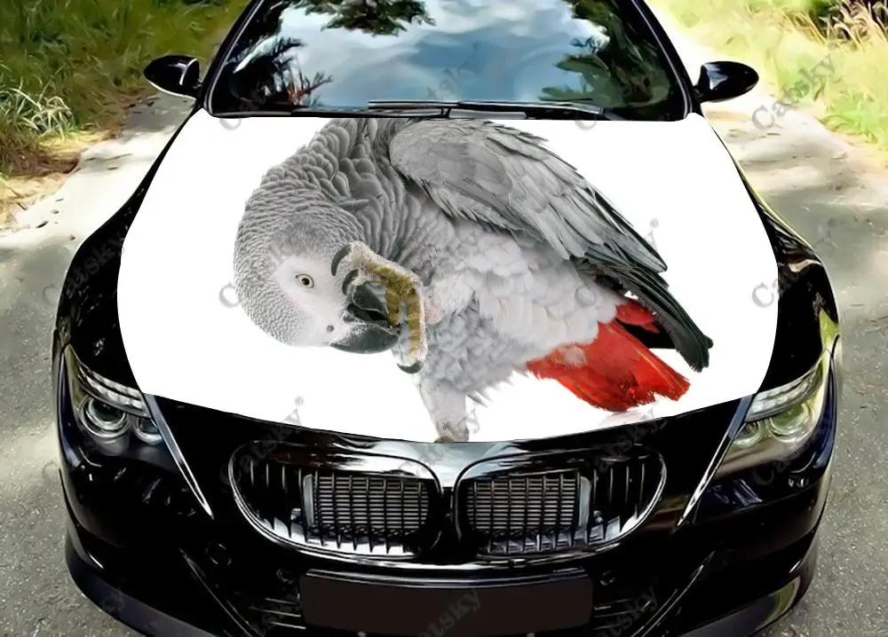 Grey Parrot Animal Car Hood Vinyl Stickers Wrap Vinyl Film Engine Cover Decals Sticker Universal Car Hood Protective Film