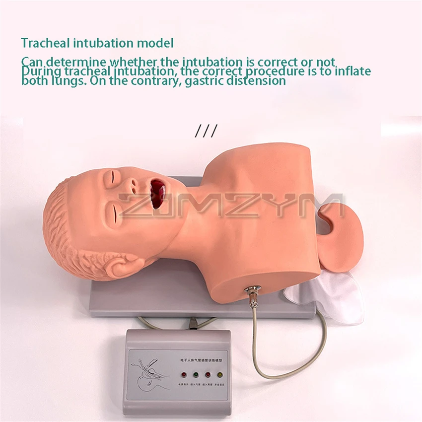 Adult Intubation Manikin Study Teaching Model Airway Management Trainer PVC With Teeth 110-220V