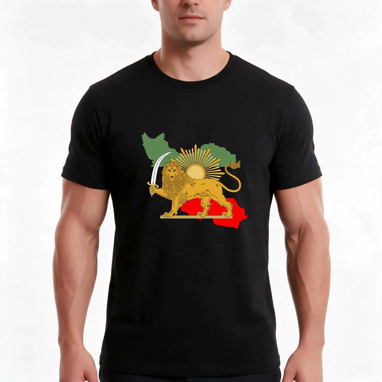 Iran, Persia, map & flag - Lion and Sun iconic sign for the Persian T-Shirt, Summer Casual Cotton Tee, Oversized Streetwear Tops