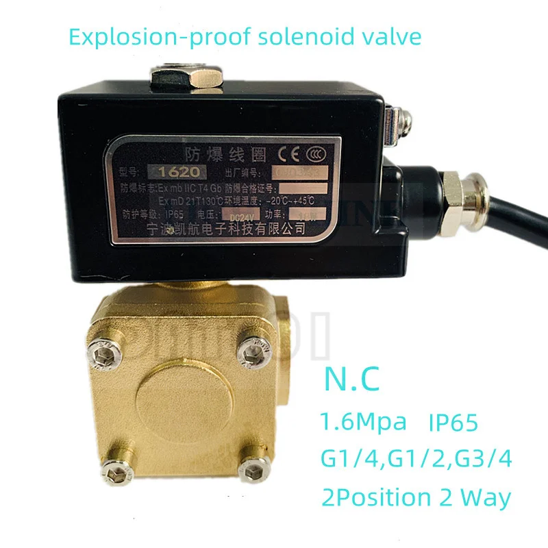 Explosion-Proof Solenoid Valve Best.Nr Natural Gas Control Valve 0927200 Dc24v IP65  220VAC