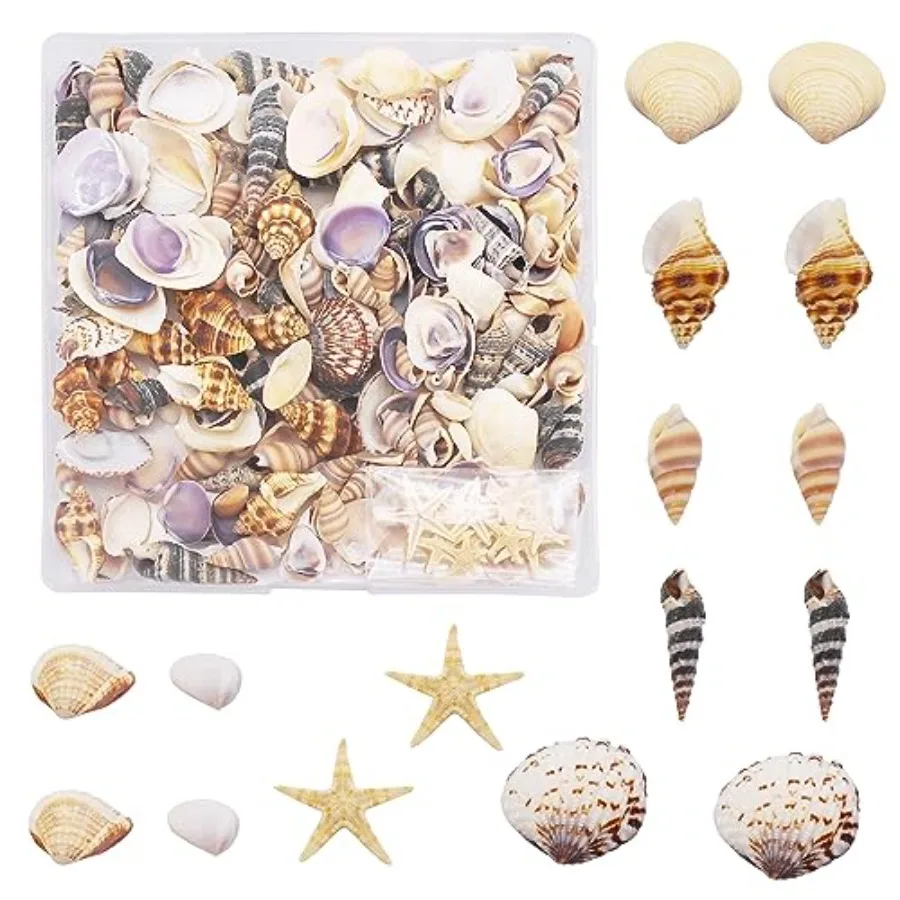 

1 Box 200PCS Small Shell Coh Starfish tural Tiny Ocean Seashells for Miniature Beach Theme Wedding Decor Art Crafts Proje Fish