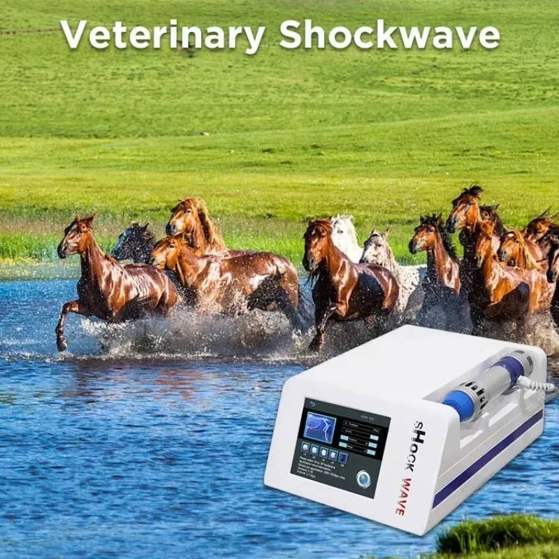 Shock Wave for Horse Extracorporeal Veterinary Shockwave Therapy Pain Relief Racecourse Use Professional Physiotherapy Machine