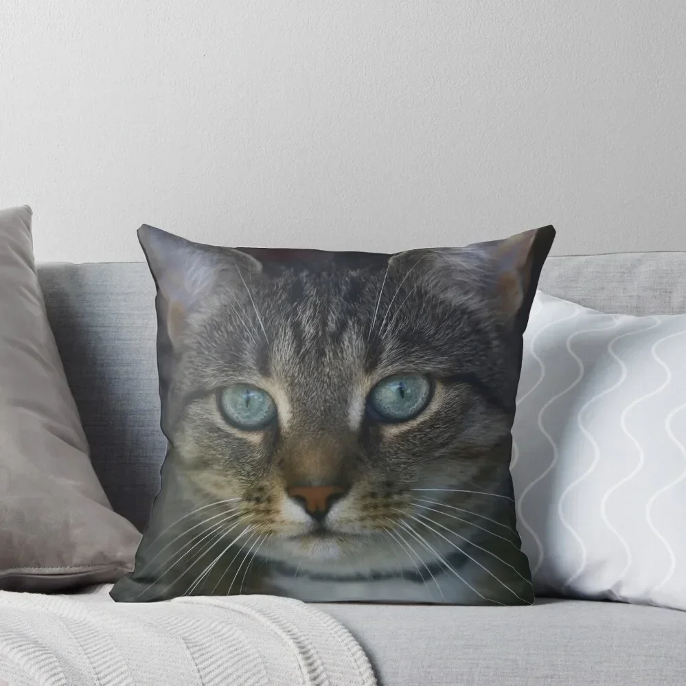 

Elbkatz` cat at the window Throw Pillow Pillows Aesthetic Sofa Cushions Cover pillow