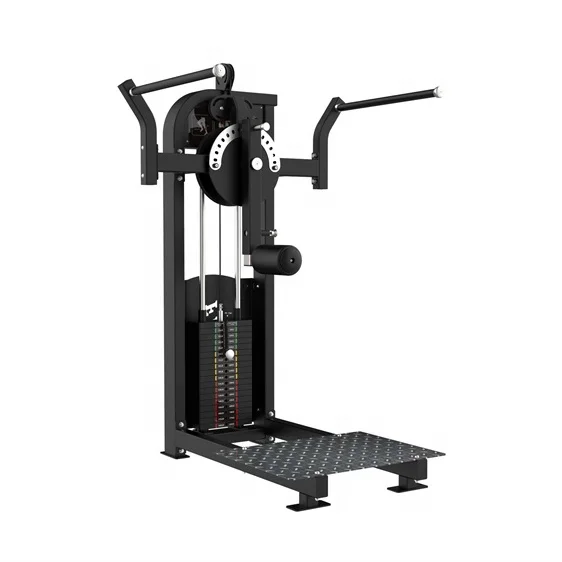 

Shizhuo Pin Loaded Gym Equipment Strength Training Machine Multi Hip