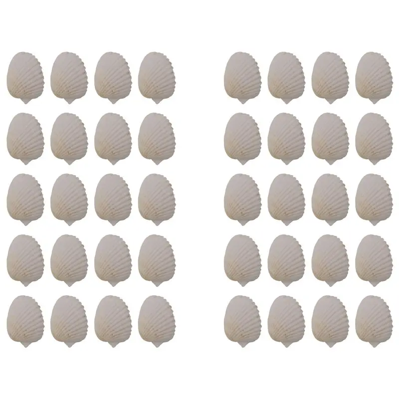 J1UL1N 40PCS Natural Scallop Shells 1.4-2.4Inch White Small Sea Shells For Crafts Crafting Shell Bulk Real Seashells