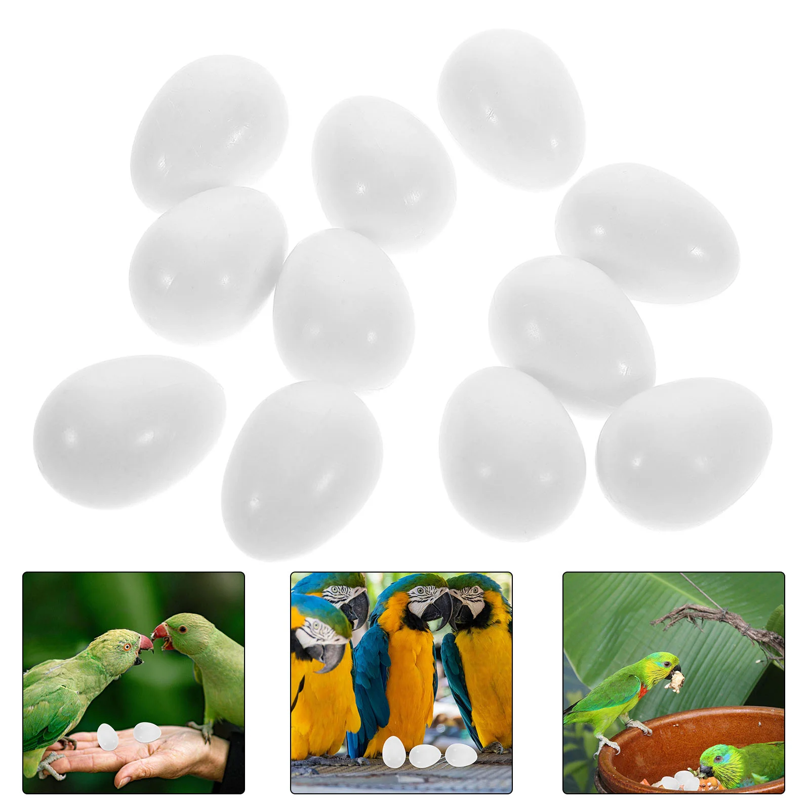 

30pcs Solid Plastic Parrot Fake Bird for Pigeon Breeding High Realism Hatching Aid Durability Training Tool Dove