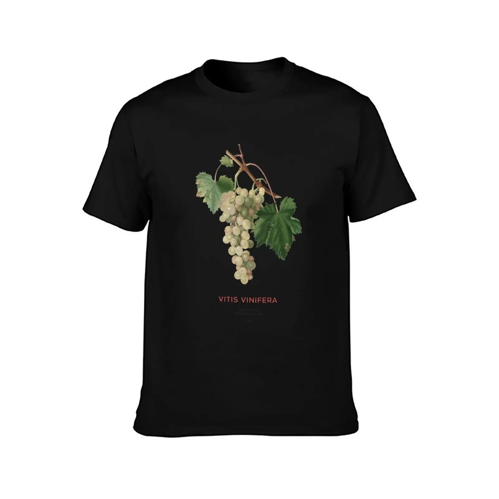Common grape vine or Vitis vinifera T-Shirt Summer Casual Cotton Tee Oversized Streetwear Tops Vintage Graphic Print