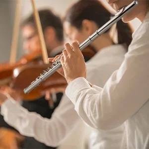 

Gift for Flutists: Pogolab Silver Plated Flute W/ Elegant Case - Complete Set with Stand/gloves/care Kit