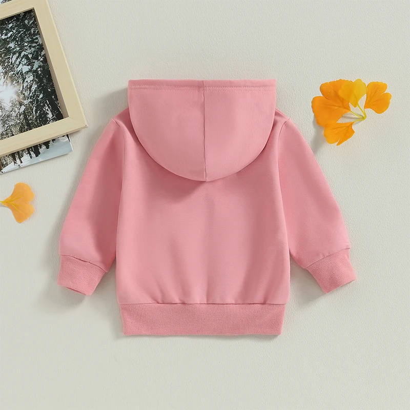 1-5Y Baby Boy Girl Zip Up Hoodies Solid Color Casual Long Sleeve Hooded Sweatshirts Jacket with Pocket Zipper Hoodies Outerwear