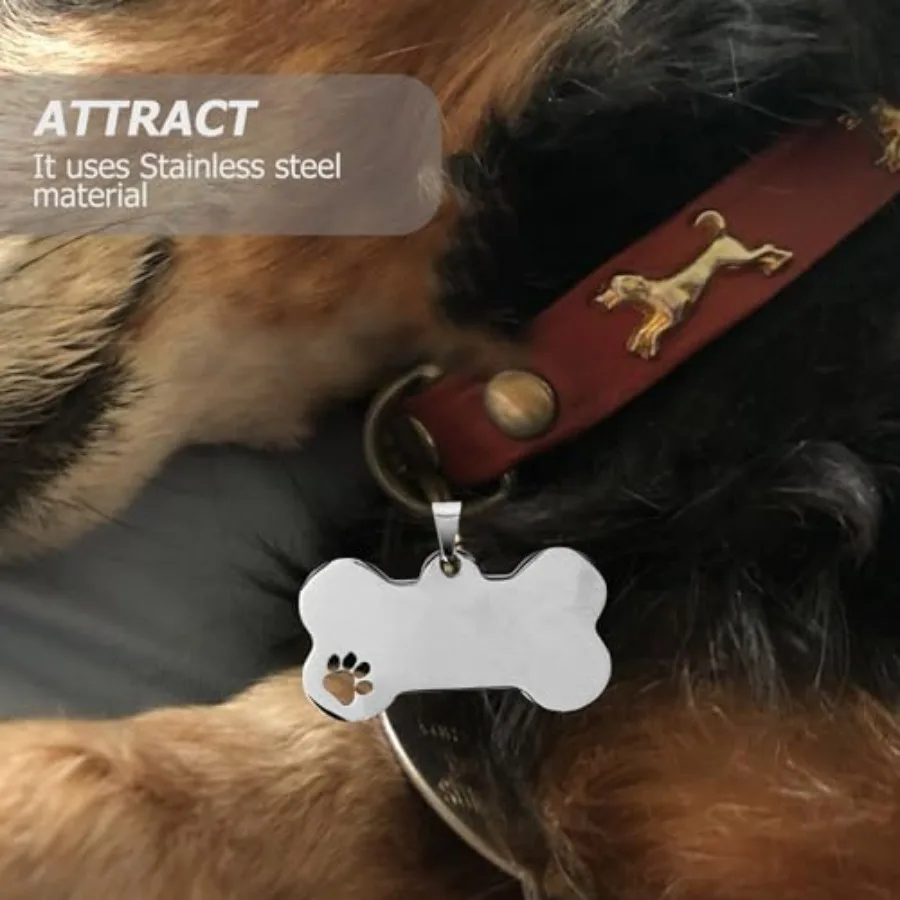 10 pezzi Dog me Tag Etichette vuote Etichette di identificazione del cane a forma di osso Incisione me Tag Tag persolizzati per cucciolo di s Tag ID in metallo Blan