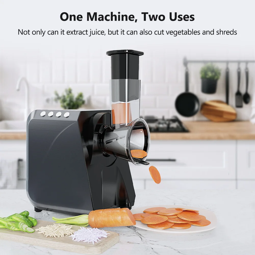 LUFVEBUT Slow Juicer Vegetables And Fruits Electric Juice Extractor Squeezer 200W Power Easy Wash Slow Masticating Juicer