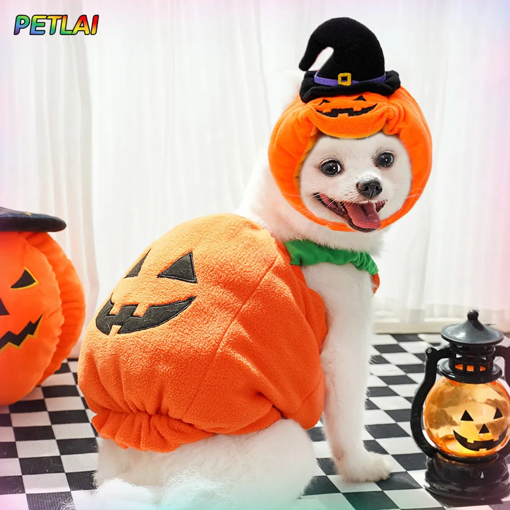

Dog devil pumpkin vest hat costume magic Pumpkin hat Halloween transformation outfits Funny Teddy Dog pet Clothes Christmas