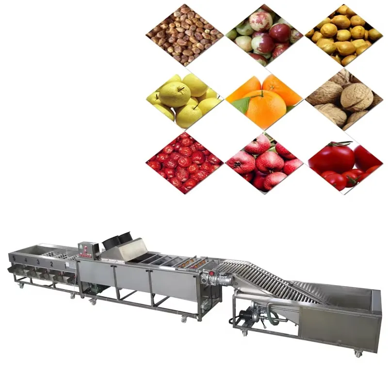High Quality Durable Orange Rice Sorting Machine Dates Sorting Machine Supplier