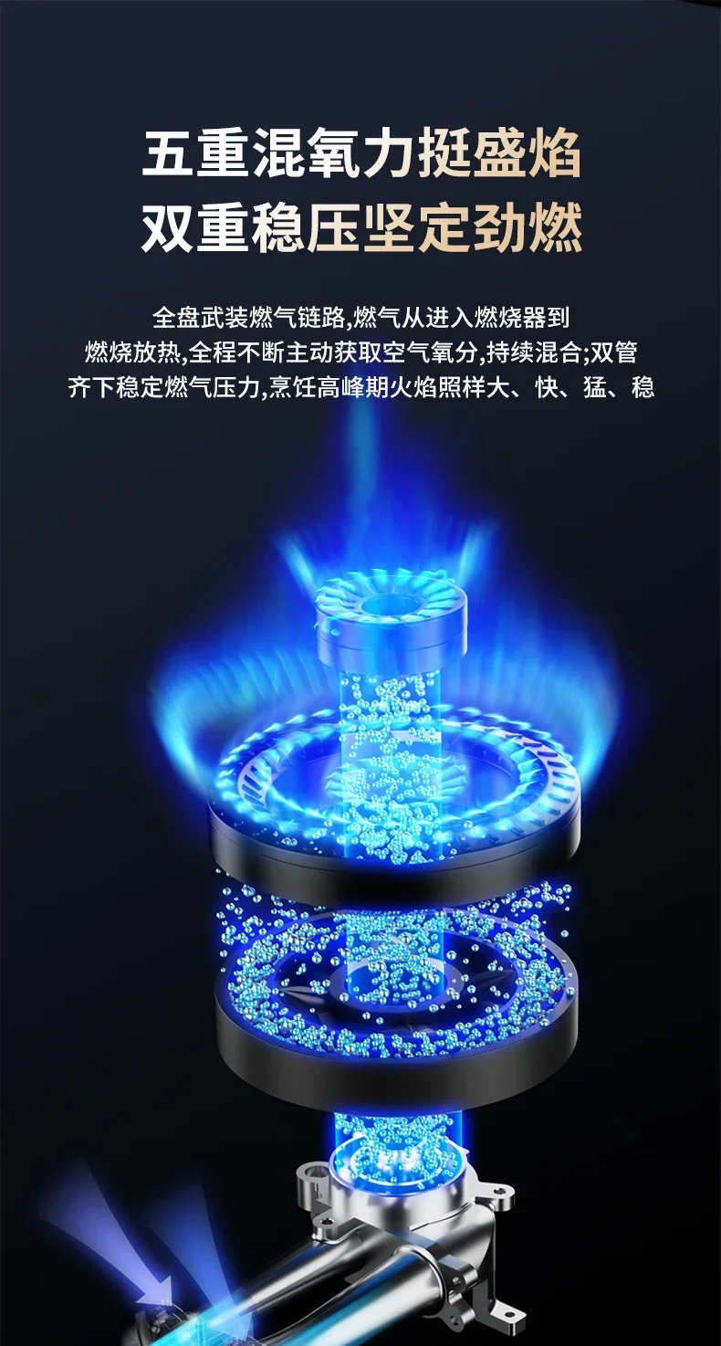 Aggiorna i tuoi elettrodomestici da cucina con fornello a Gas con inserto Royalstar: doppio bruciatore, forno antincendio feroce a risparmio energetico e programmato