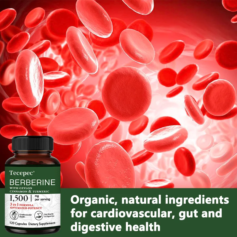 

3-in-1 Berberine HCl Capsules (with Ceylon Cinnamon & Turmeric) - Digestive & Cardiovascular Health, Immune Boost, 60Counts