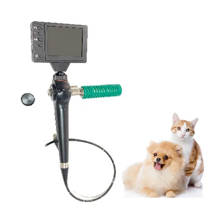 Professional Digital ENT Inspection Endoscope System Flexible Veterinary Endoscope