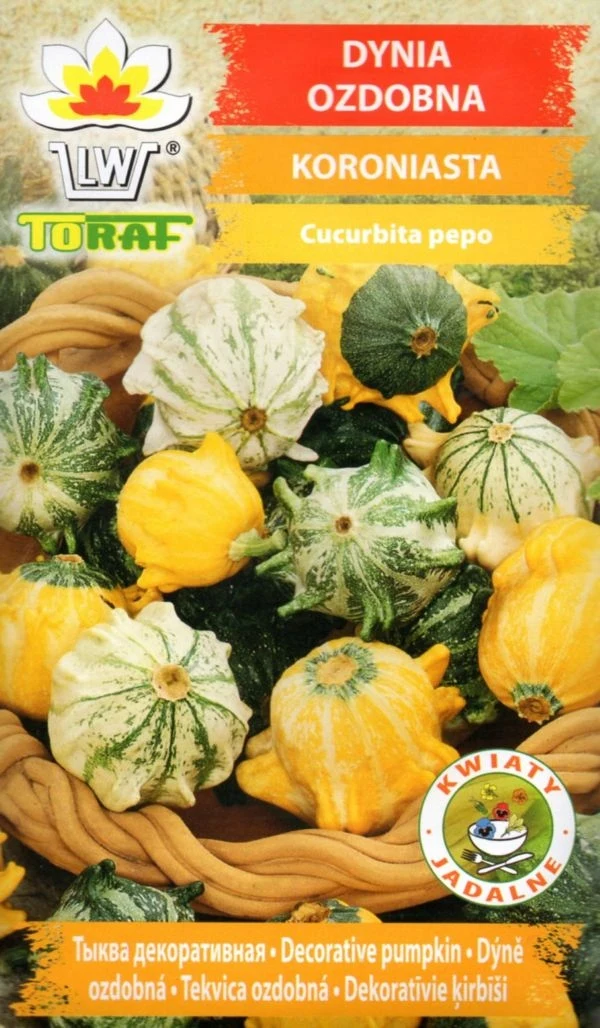 CRORONICS Sierpompoenpitten 2G Toraf 49
