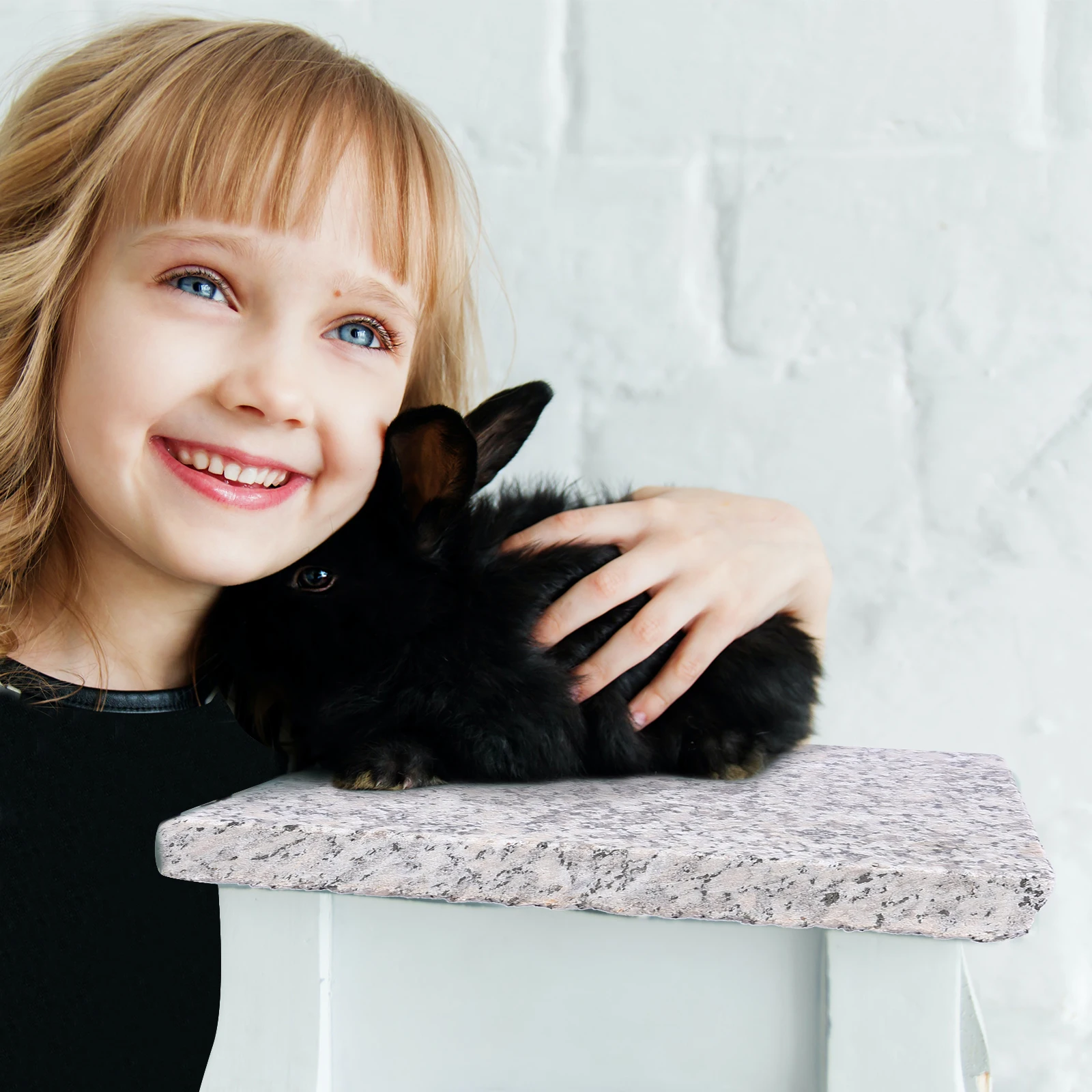 

1Pcs Hamster Cooling Board Premium Marble Material Pet Cooling Plate for Small Animals Summer Relief Cool Bed for Hamsters