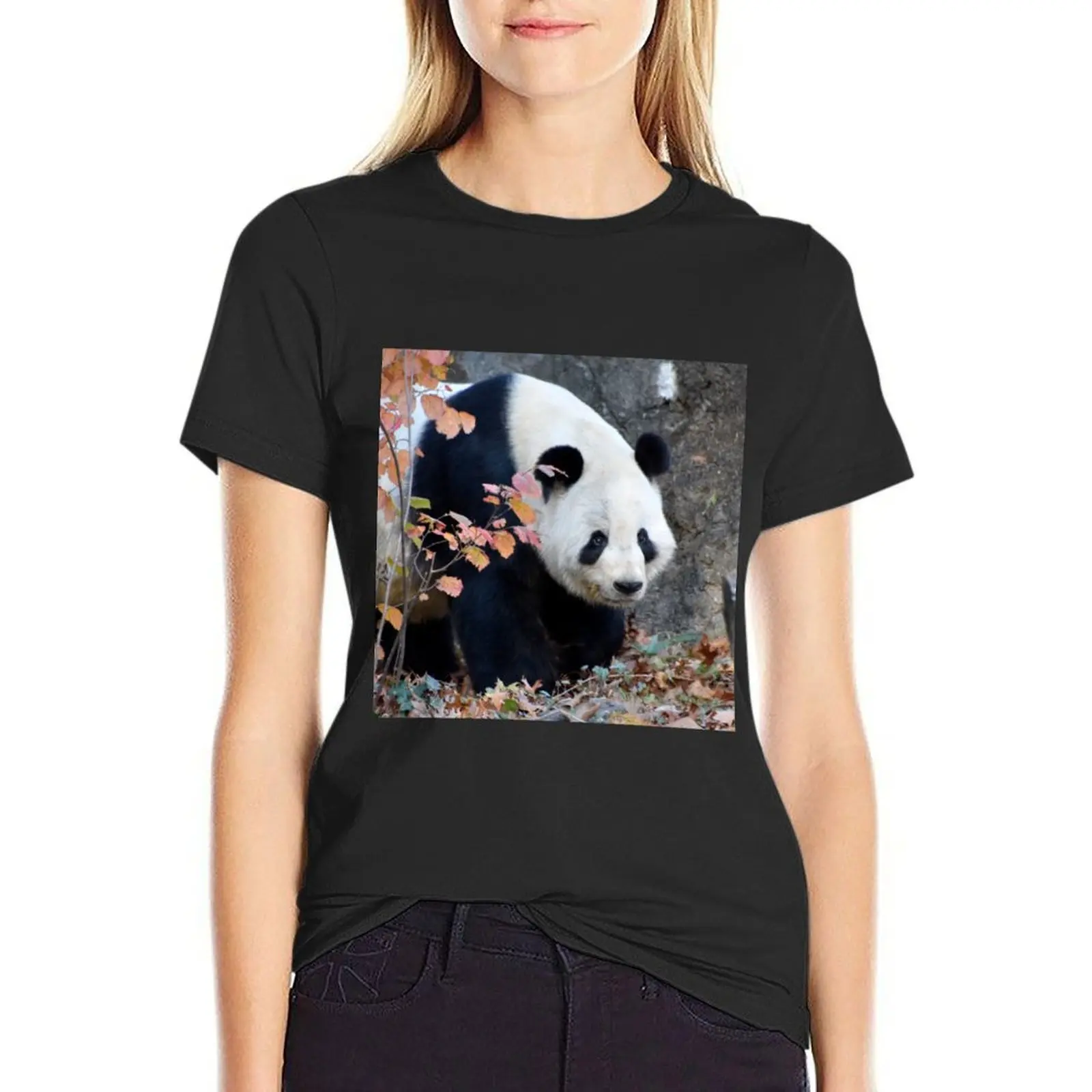 

Giant Panda Tian Tian at the National Zoo T-Shirt Aesthetic clothing female vintage clothes sublime tshirts for Women