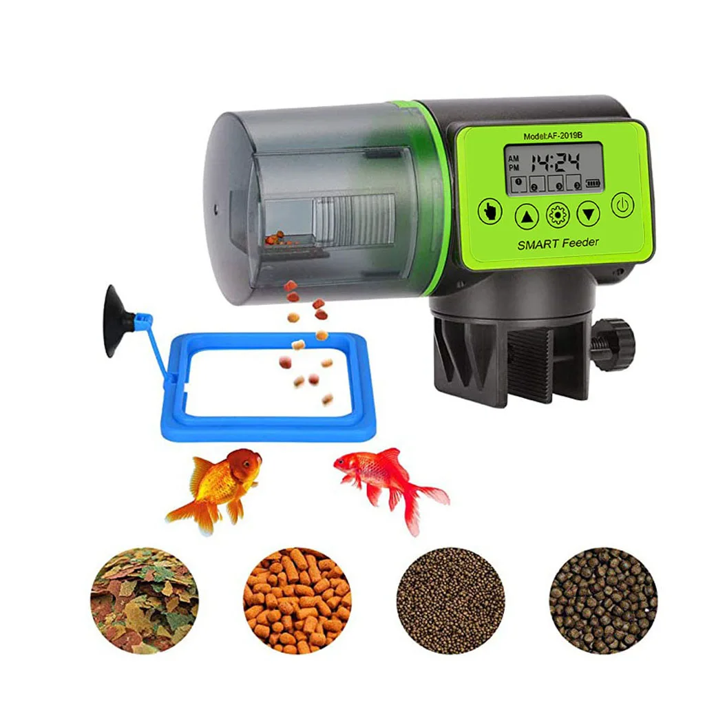 Feedeador de Peixes Inteligente com Programação Automática: Uma Solução Prática para o Cuidado Diário dos Peixes