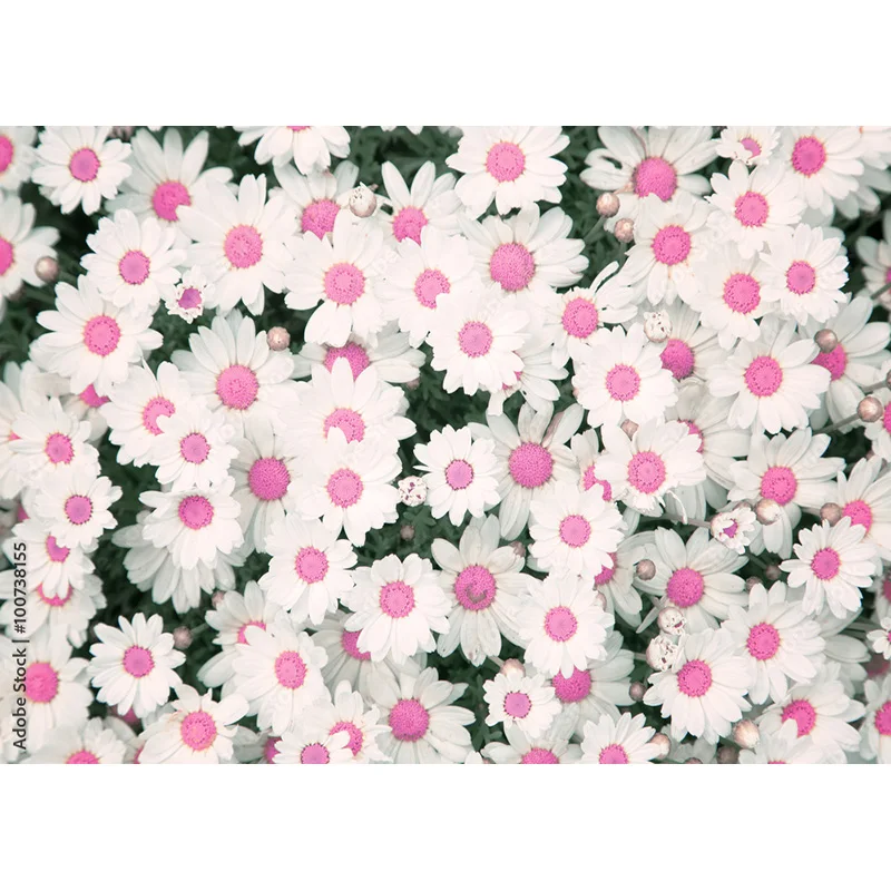 Vinyl Photography Backdrops Prop Flower Wall Wedding Valentine's Day Theme Photo Studio Background Props 211223 HHQQ-02