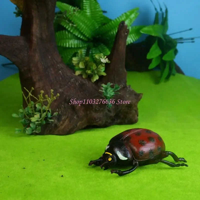 R6FD Realistic Insect Figures For Teaching Animal Anatomy Classroom Demonstration Toy