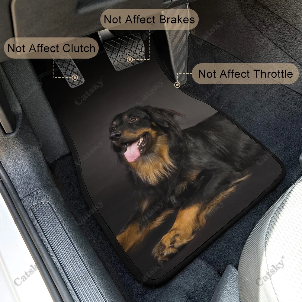 Hovawart animal Car floor mats universal car floor mats stylish dirt-resistant and waterproof car carpets front and rear 4 pcs 5