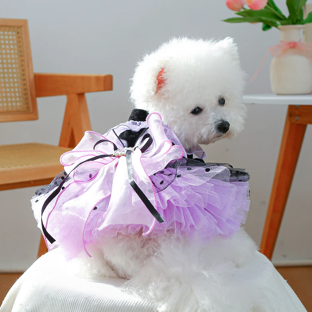 Magic Elf Tutu Pet Clothes Dog Cat Cat Haute Couture Wedding Dress Princess Dress view 4