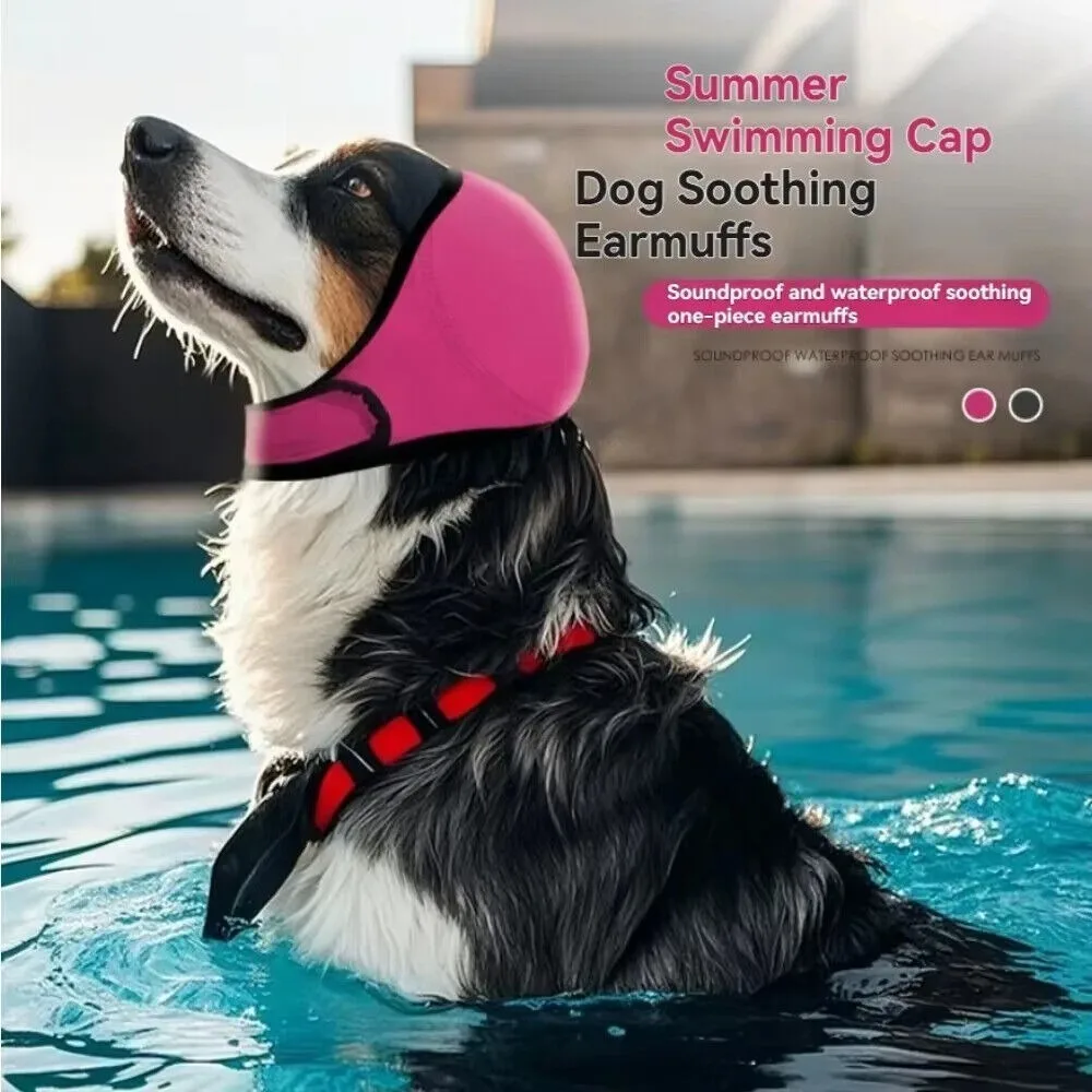 Nouvelles protections auditives pour chien, anti-choc, étanches, réductrices de bruit, pour la natation estivale