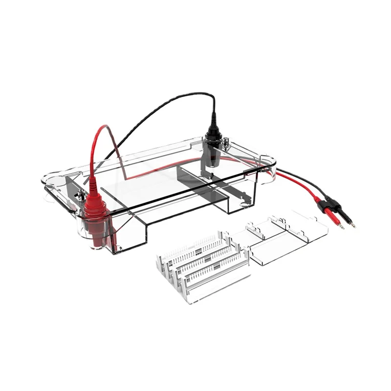 voor horizontale Cryo-elektroforese Machine Prijs Elektroforese