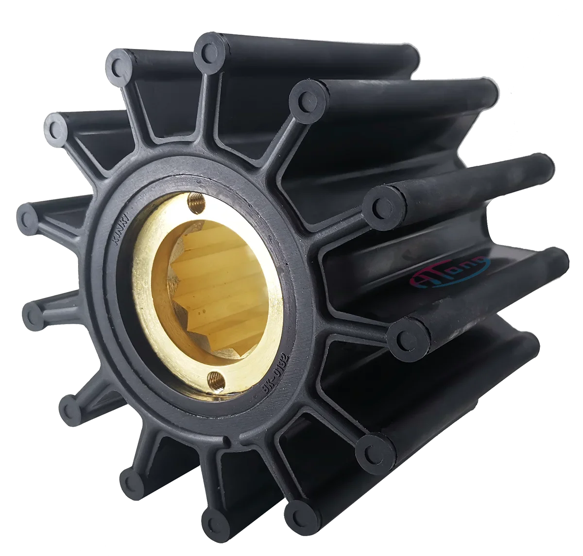 Replace Water Pump …