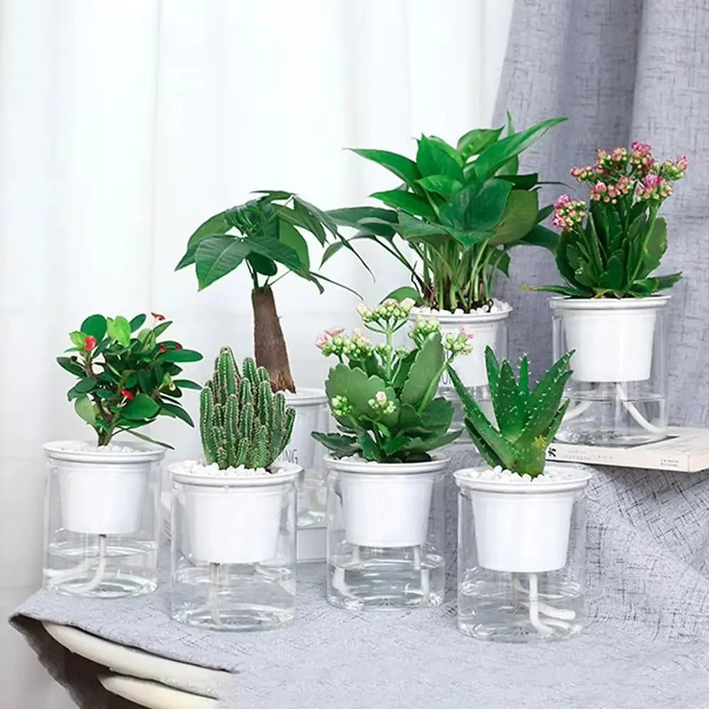 1Pcs Automatic Water Absorption Flower Pot Double-layer Transparent Hydroponic Planter Plastic Self Watering