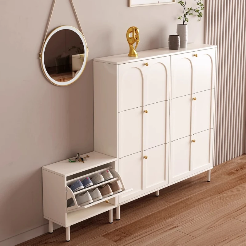 

Organizer Modern Simplicity Shoe Cabinet Tipping Bucket Nordic Ultra Shoe Cabinet Princess Designer Zapatero Unique Furniture