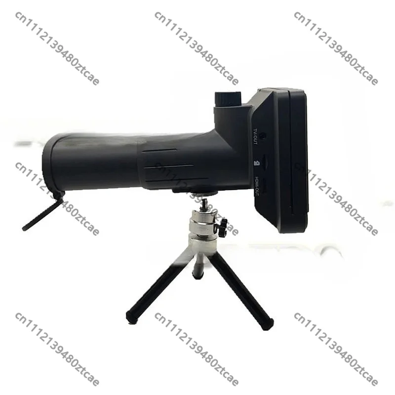 For Bird Watching Football Concert 5.0
