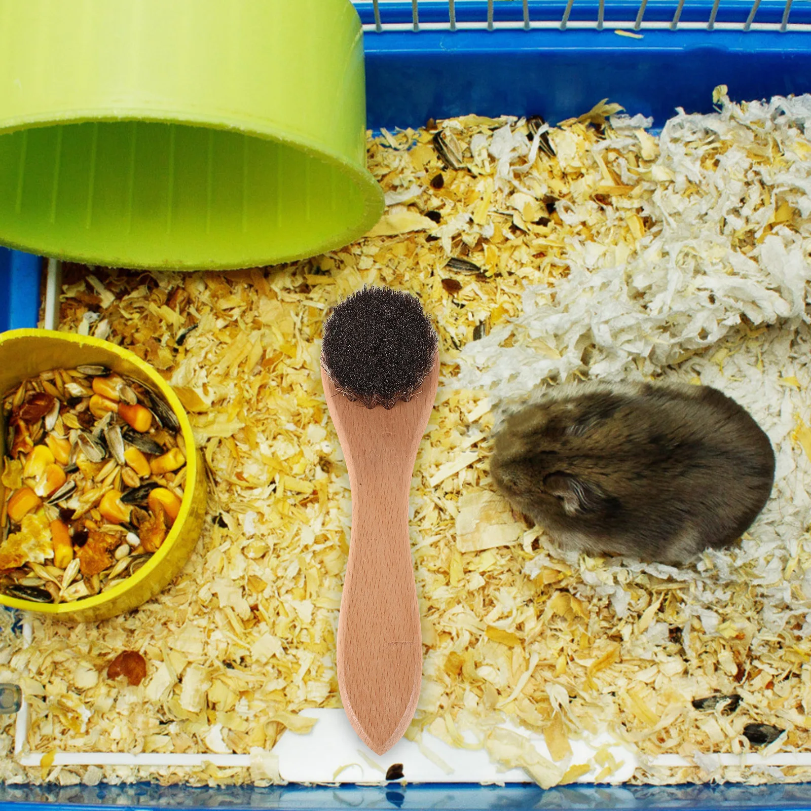 

2 PCS Pet Bath Brush Grooming Puppy Tool Hamster Massaging Hole Handle Horse Hair Tiny Supplies Small