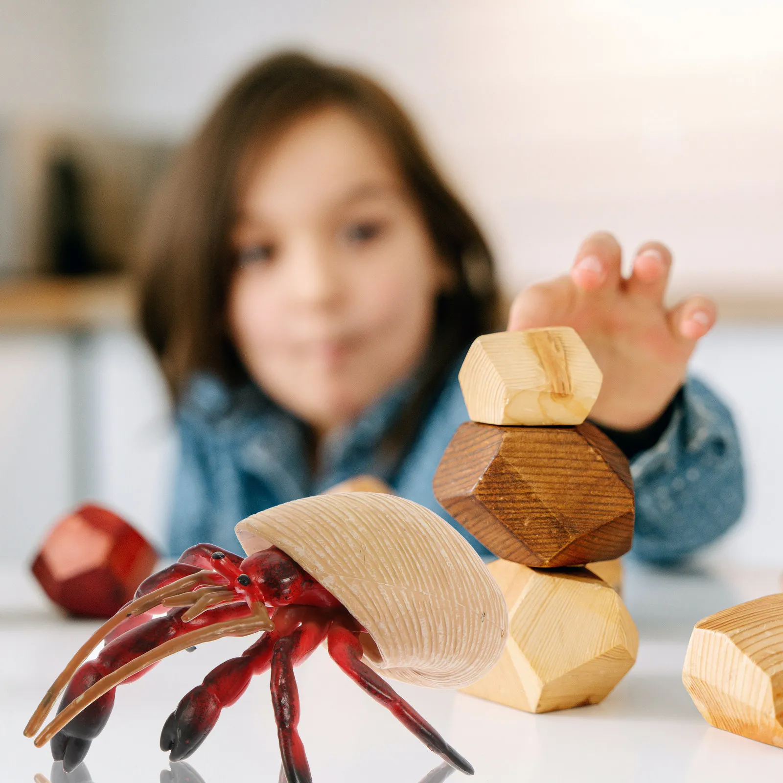 Realistic Hermit Crab Toy for Kids Early Learning, Kindergarten Marine Animal Educational Desktop Display