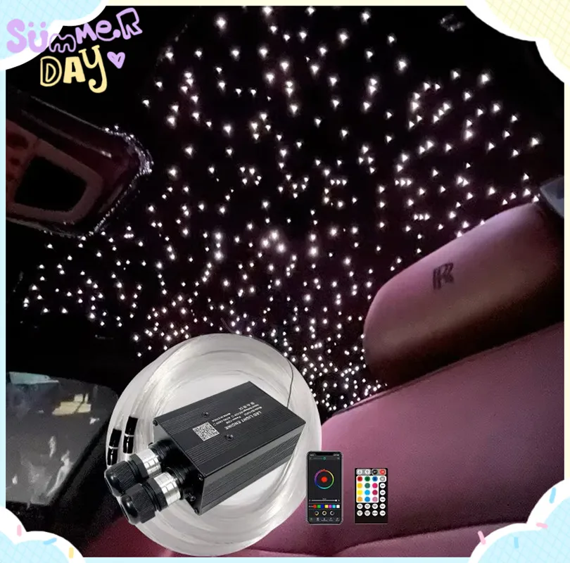 

Optic Lighting Smart APP Twinkle Fiber engine RF Voice control Optic Cable Starry Effect Ceiling Double Heads Lights lamp Key