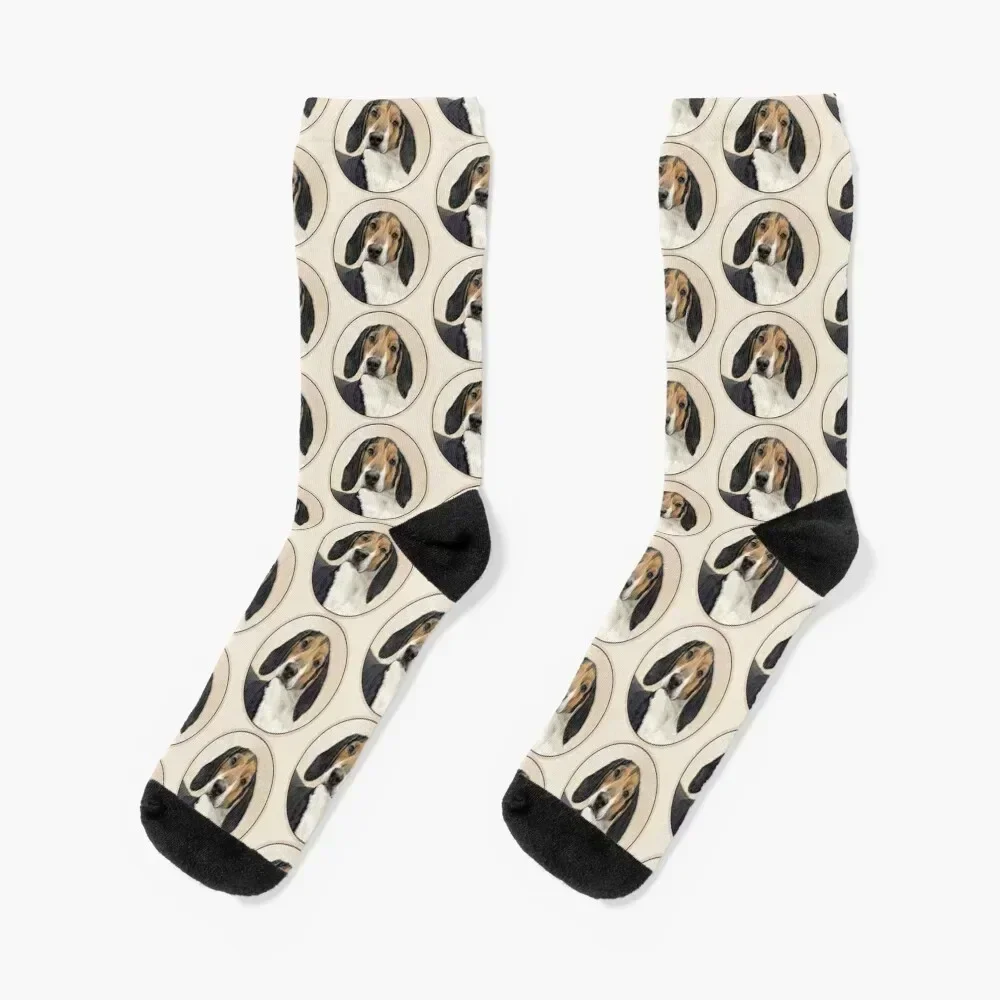 

Treeing Walker Coonhound Painting - Original Art Socks hiphop floral bright garter Socks Men's Women's