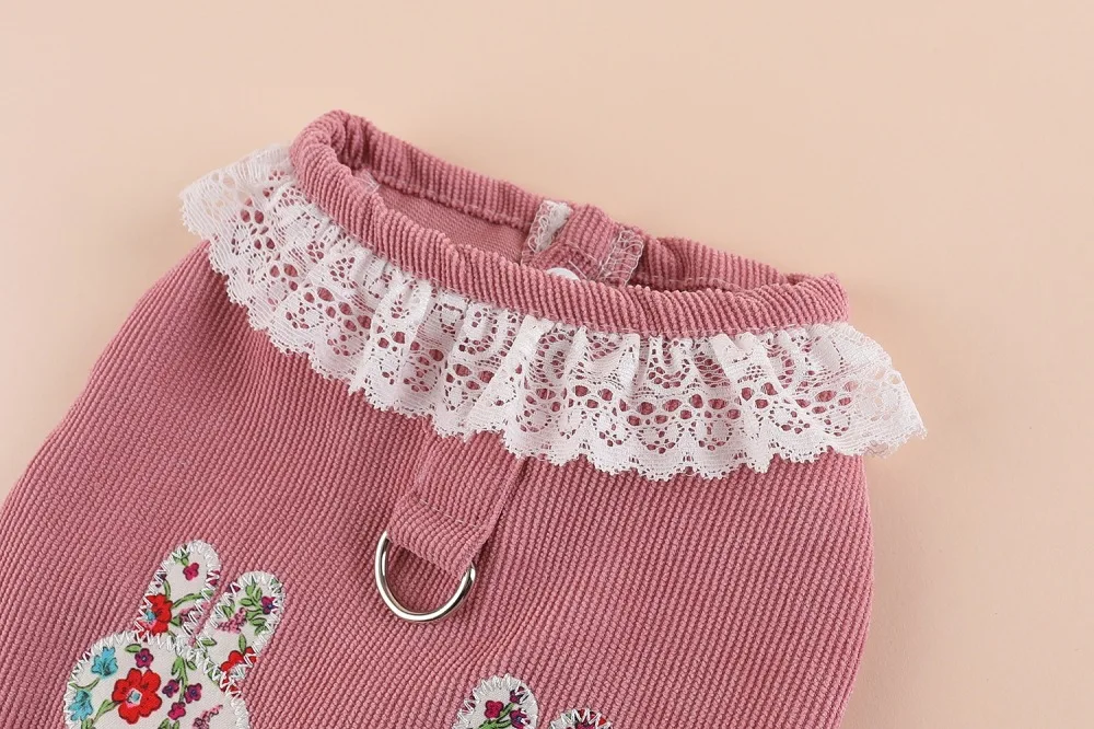 Prinzessinnen-Stil Kleidung für kleine Hunde und Katzen, Teddybär, Pomeranian Spezielles Niedliches Brust- und Rückenkleid – Detail 6