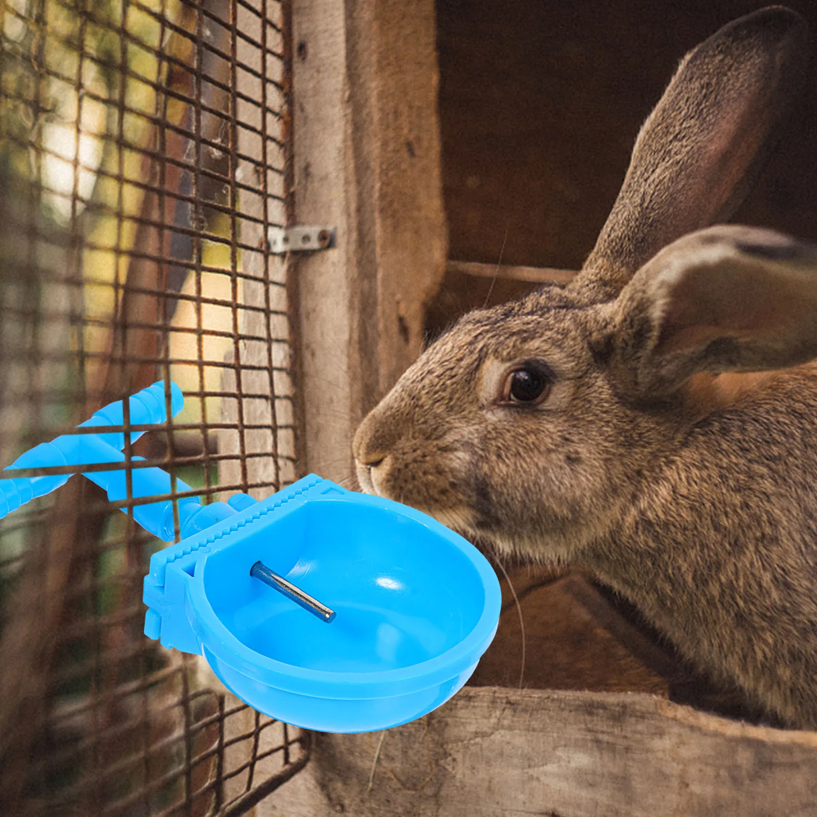 

4Pcs Rabbit Drinker Bottle Bunny Breeding Water Bowl Pet Drinking Bowls Container Large Capacity Durable Easy Install Cage