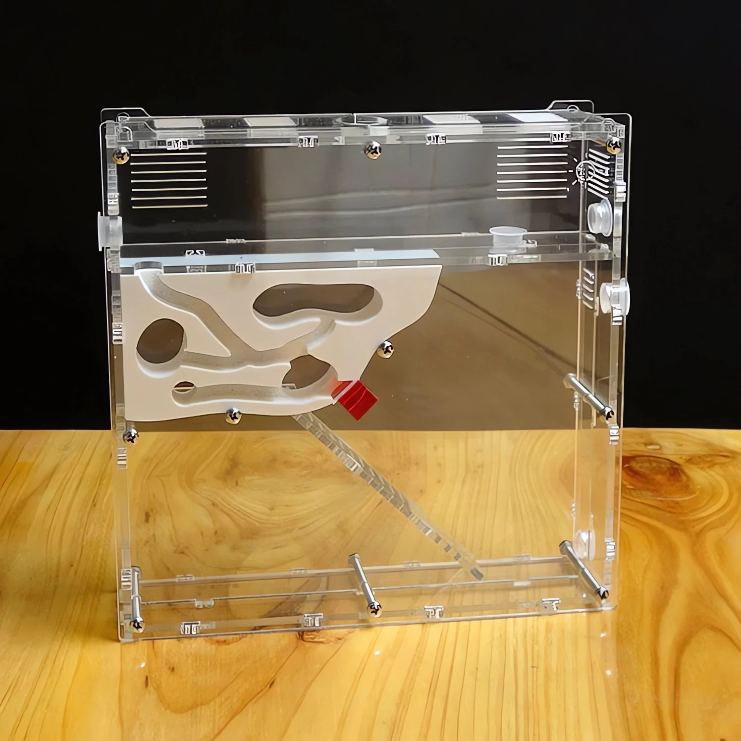 Ant Manor Ant Tribe… - image