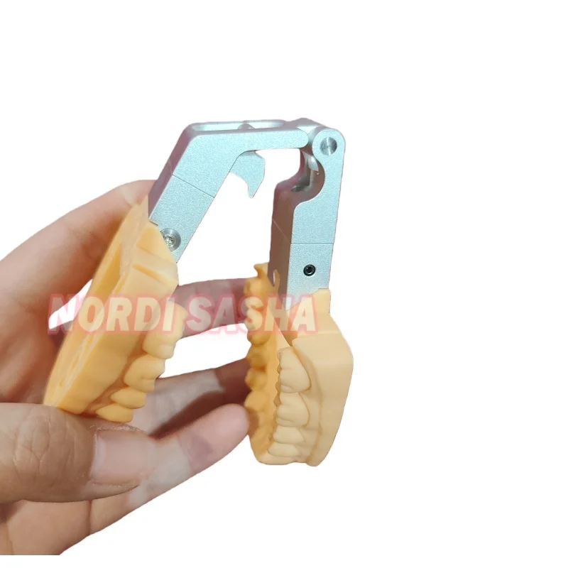 

3D Printed Resin Jaw Holder Denture Bite Frame Dental 3D Printing Model Articulator Digital Model Jaw Frame 3D Printing Holder
