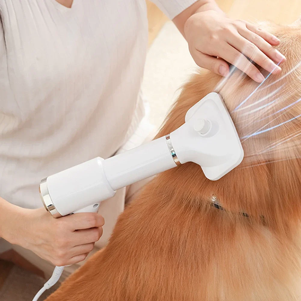 Asciugacapelli portatile 2 in 1 per cani Home Puppy Grooming Comb Brush Fur Blower velocità regolabile temperatura prodotti per animali domestici a