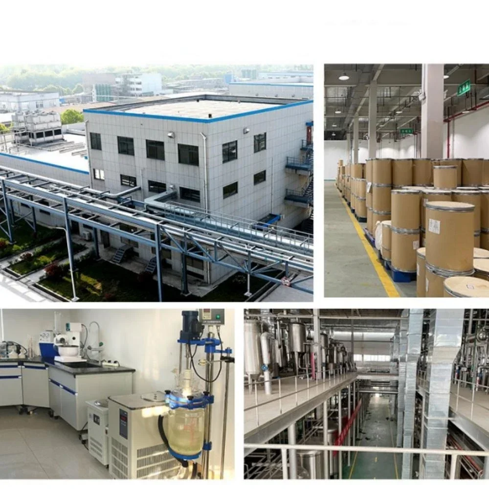 Косметика Palmitoyl Tetrapeptide-10 Порошок Уход за кожей Beauty Peptide Антивозрастной Cas 887140-79-6 [дата]