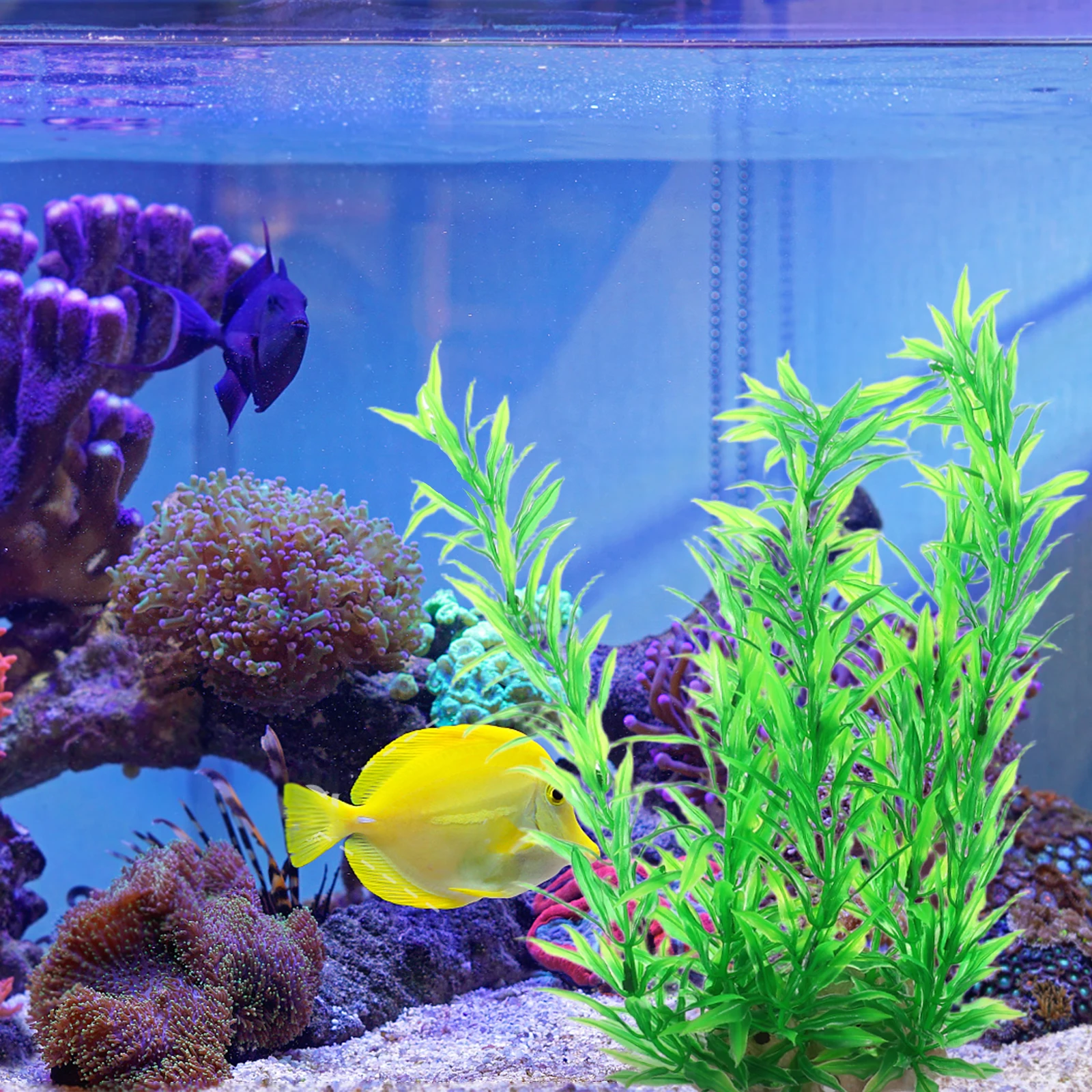 

2 pcs Artificial Plants Simulation Plastic Hydroponic Fish Tank Decorations Lifelike Underwater Plant Aquarium Fake Plants For