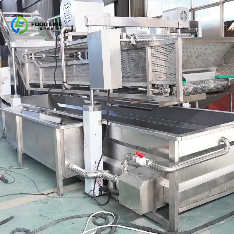 Customized Efficient Snack Raw Material Washer for Nut Processing with Software Upgrades