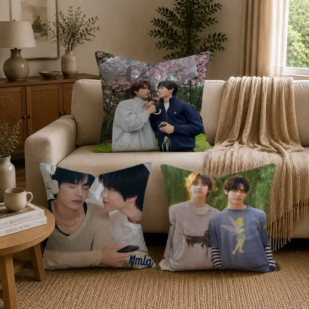 BL D-Duang With Youu-u TV Show Pillow Case for Sofa Living Room Home office Decor Protective Cover