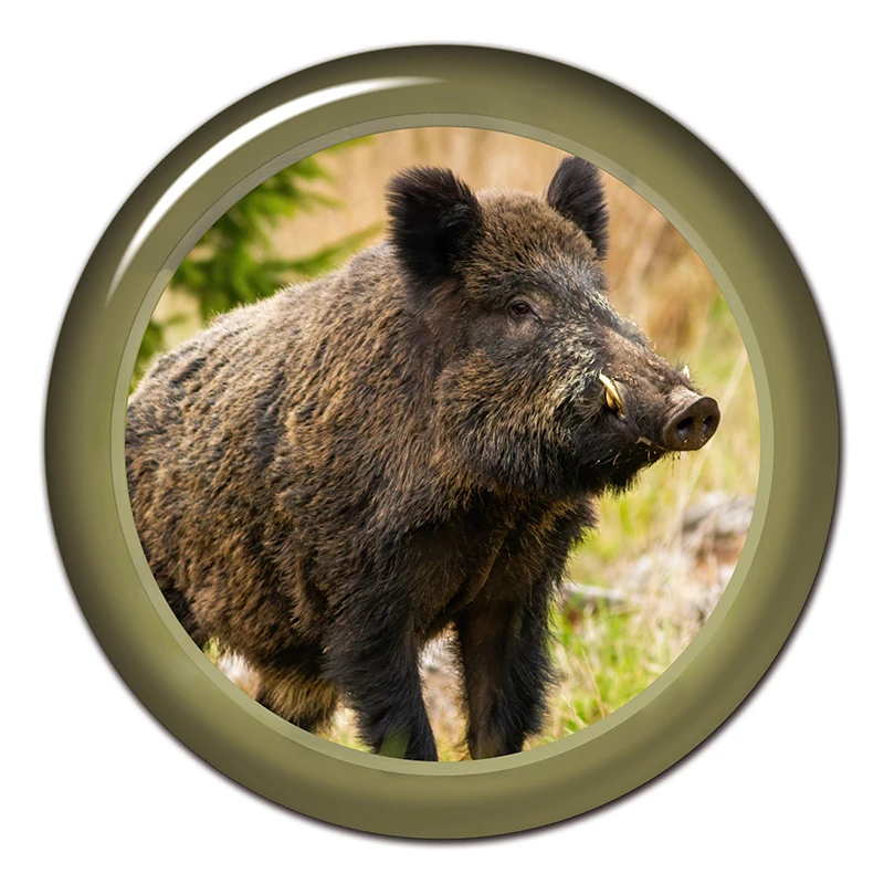 

21905# Wild Boar Car stickers Boar stickers Wild boar decal Forest animals Auto stickers Big boar sticker Auto